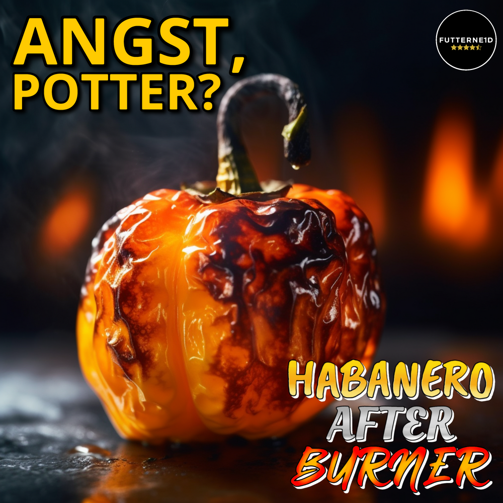 HABANERO BURNT DEN AFTER Gewürzmischung 100g